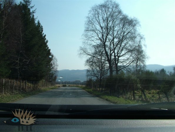 DSCF0677