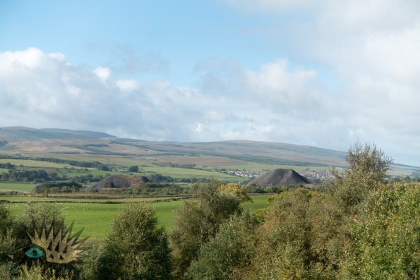 DSC00517