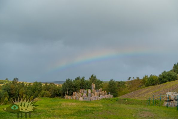 DSC00521