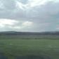 Field