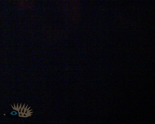 69-CNXT0125