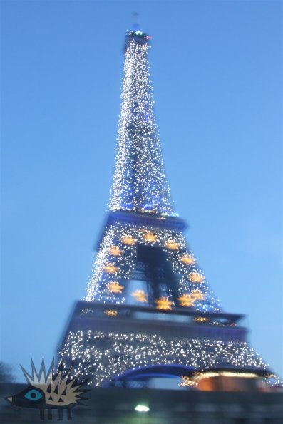 DSCF1926
