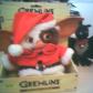 gizmo bob stalk2