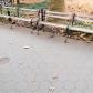 DSC00294