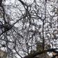 DSC00299