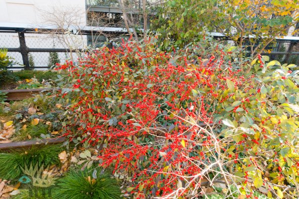 DSC00573