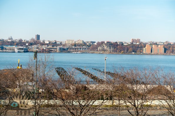 DSC00595