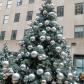 DSC00881