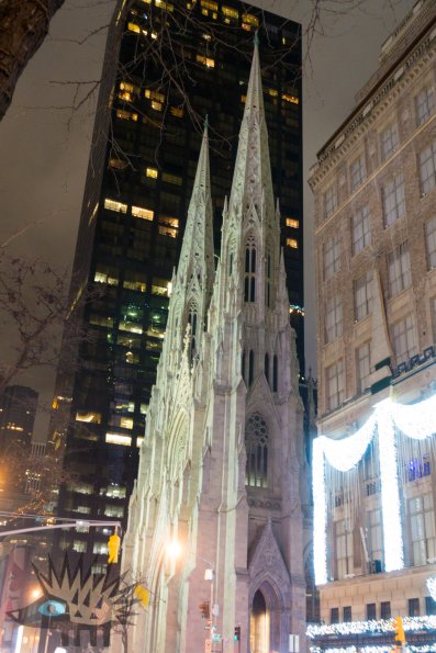DSC00984