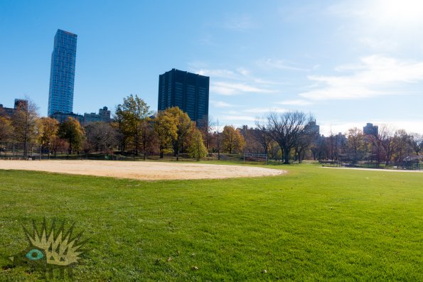DSC01019