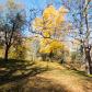 DSC01051