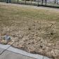 Crap Grass