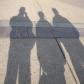 Group Shadow